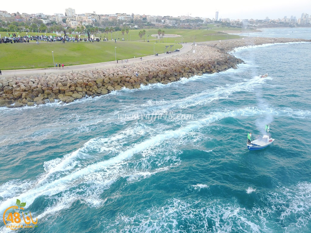 iste3rad sayaden yaffa (2).JPG